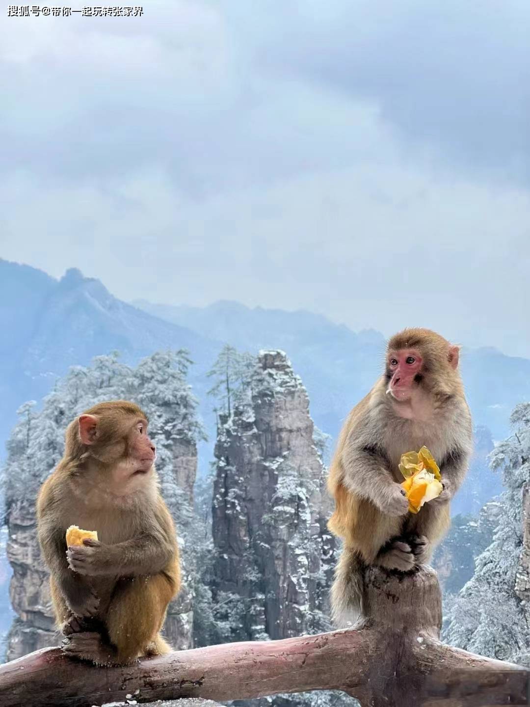 冬天去湖南张家界湘西凤凰古城看雪景吧-玩5天自由行攻略