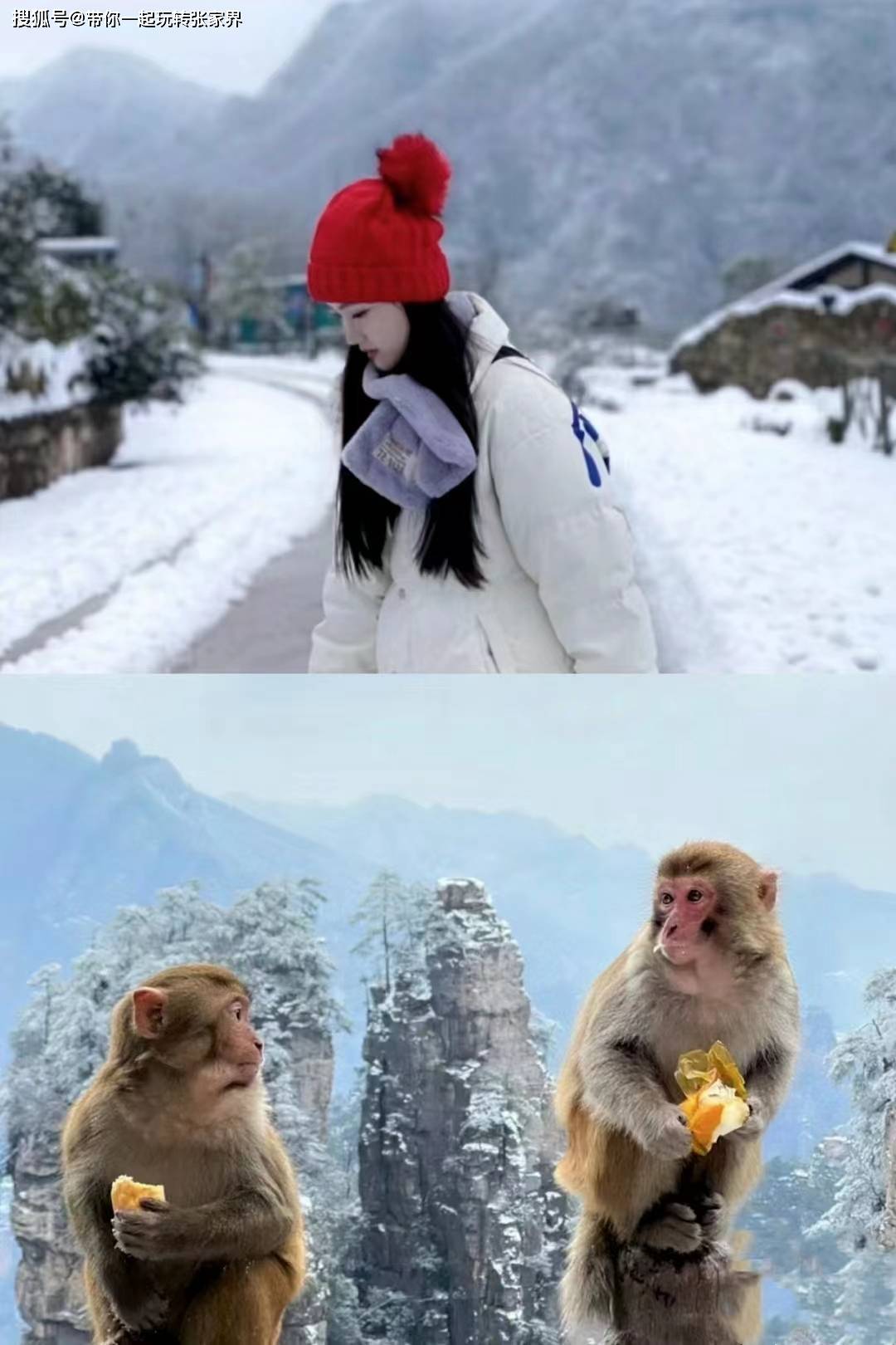 冬天去湖南张家界湘西凤凰古城看雪景吧-玩5天自由行攻略