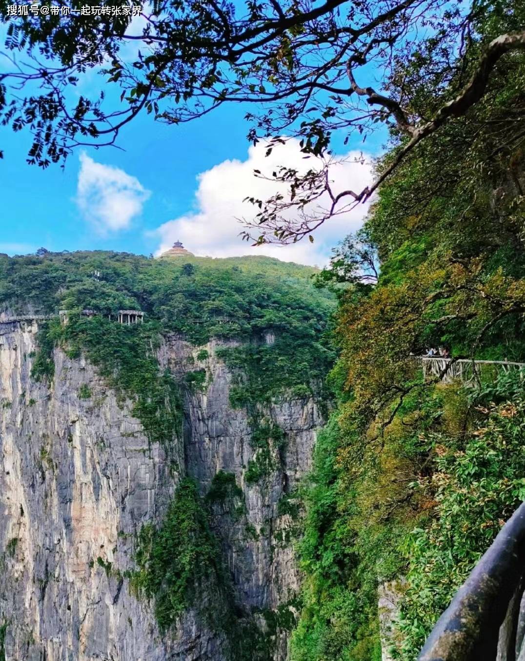 向往的人间仙境张家界凤凰古城5日游超全旅游攻略笔记