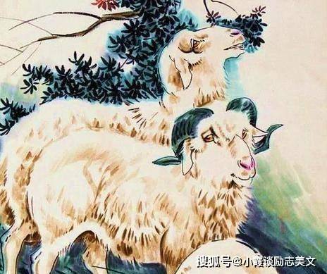 青出于蓝打一个生肖，最新解释落实