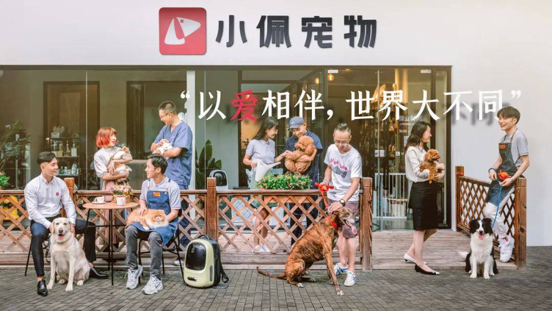 案例｜市值超30亿PETKIT如何做到宠物用品出海品牌第一梯队？(图5)