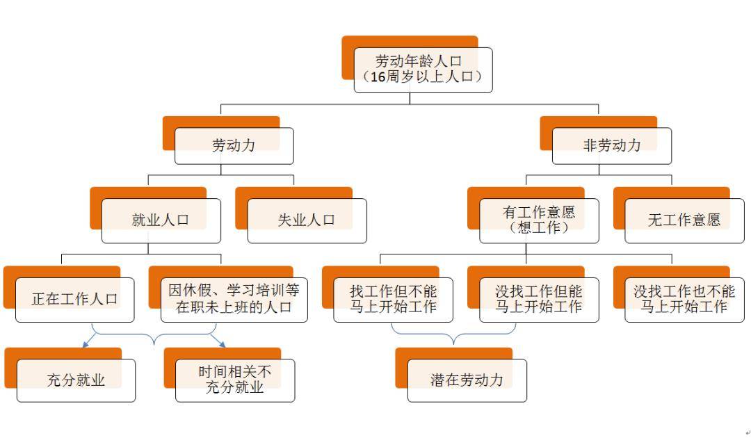 板湖镇人口总数_人口普查(3)