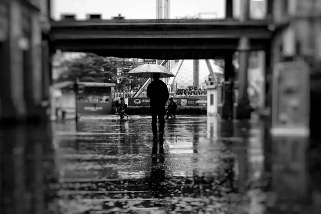 摄影:万少波 街头独自撑伞的人看似孤独 但实则他也在为生活奔赴 实则