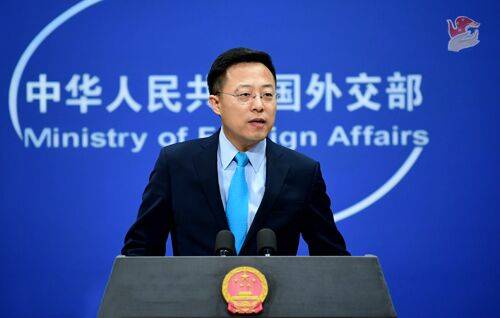 外媒求证“中国政府准备惩戒对华滥诉的实体和个人”，赵立坚回应