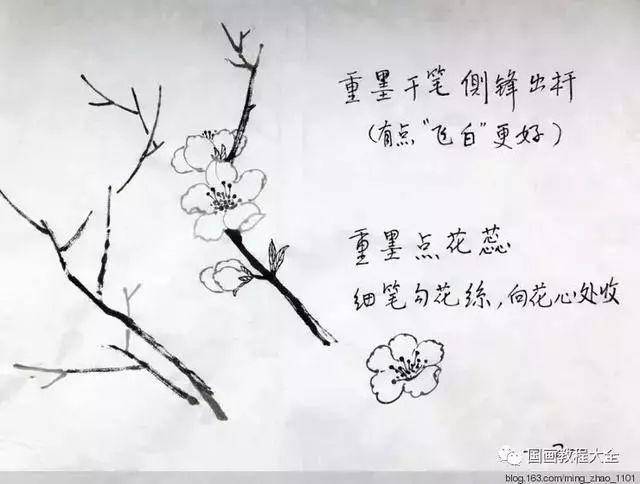 枝干,花蕊,燕子,鲤鱼画法都教给你