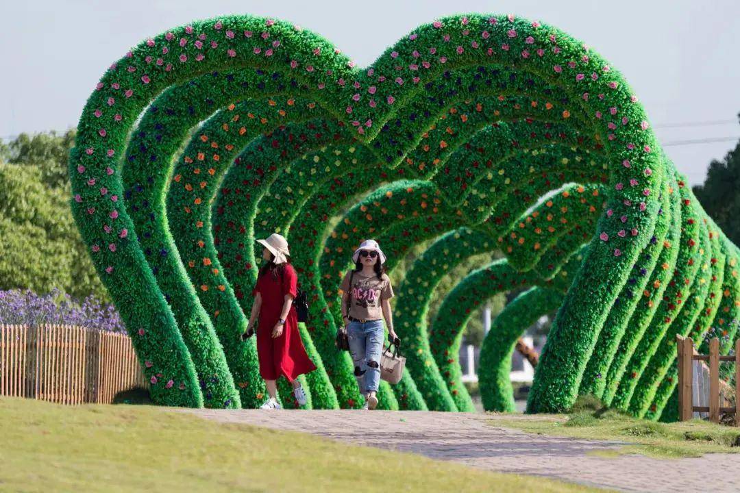 【雪浪山薰衣草节 渤公岛 抖音超火彩虹步道】花海美出天际,再不去就