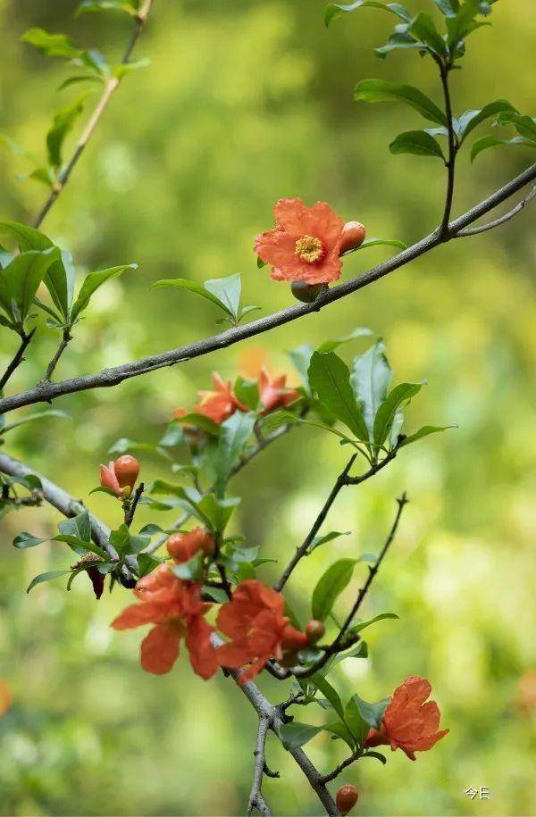 蒙自gdp_倾力打造家门口的世界贸易平台(3)