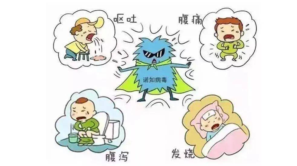 南充市顺庆区