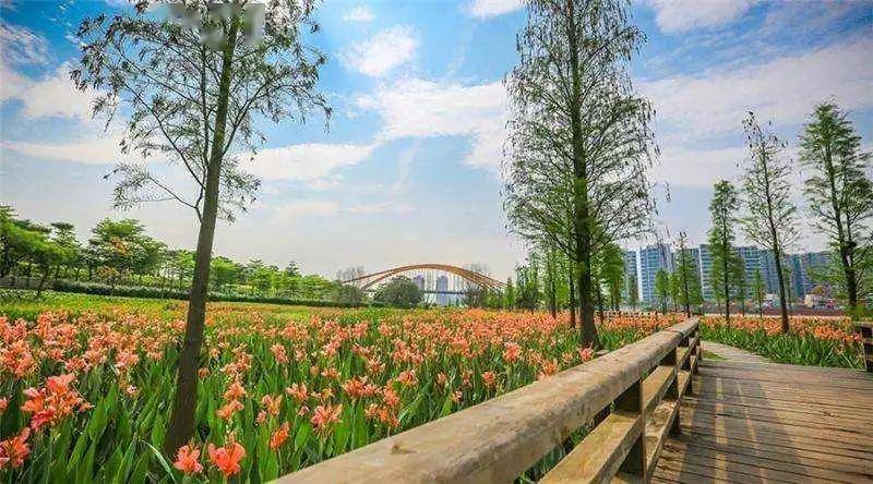 禅城这4大湿地公园,带你寻找闹市中的宁静~_佛山市