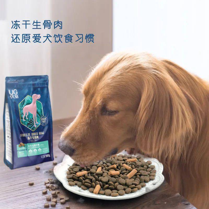 狗跟犬的区别视频 eed818af6cd04bb6a79b99308ee585fe.jpeg