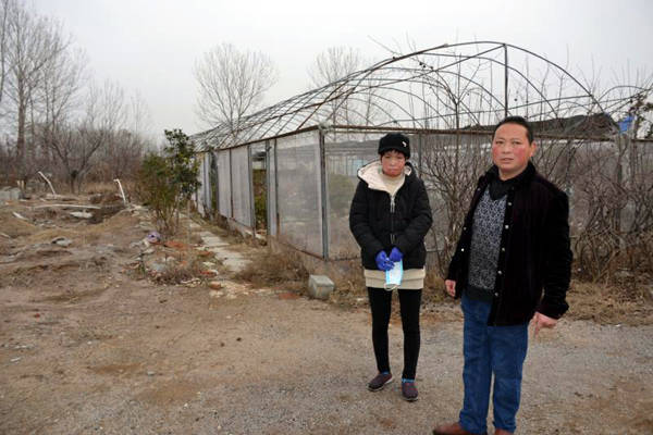 临沂市郑旺镇有多少人口_临沂市老年人口数量