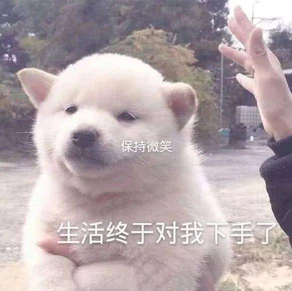憨憨脸红_表情