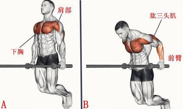 有人会问了:除此之外,还有什么徒手动作可以练到下胸呢?