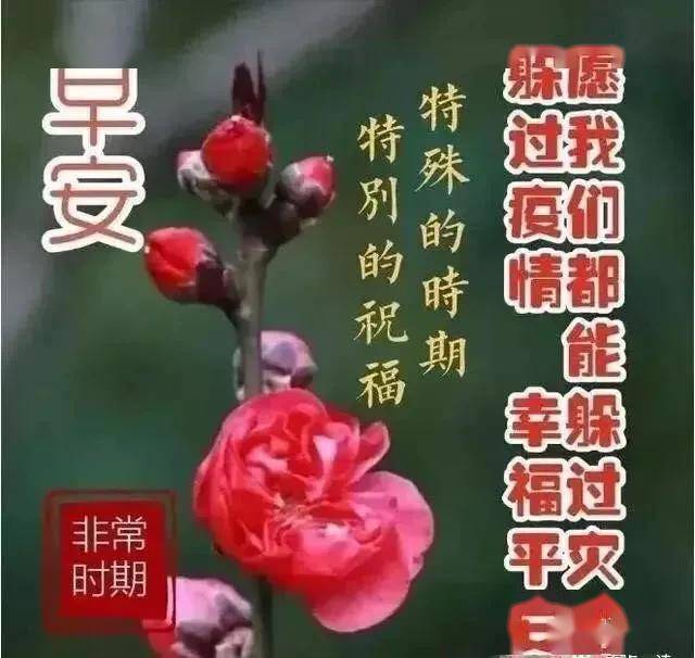 早安,祝你今天好心情,工作顺利,生活甜美