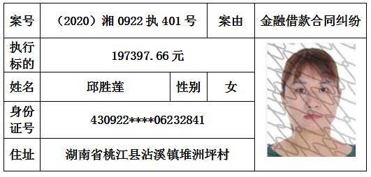 桃江姓氏人口姜_桃江竹海(2)