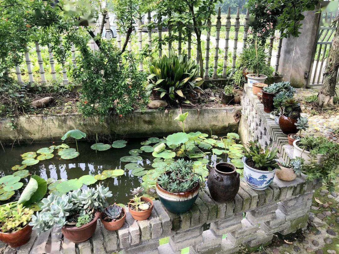 扮靓农家小庭院 绘就乡村新画卷——陆城街道美丽庭院