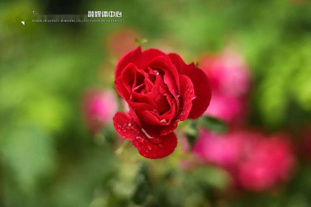 ead32ee8177d47fdb1e5e100a434f570.jpeg