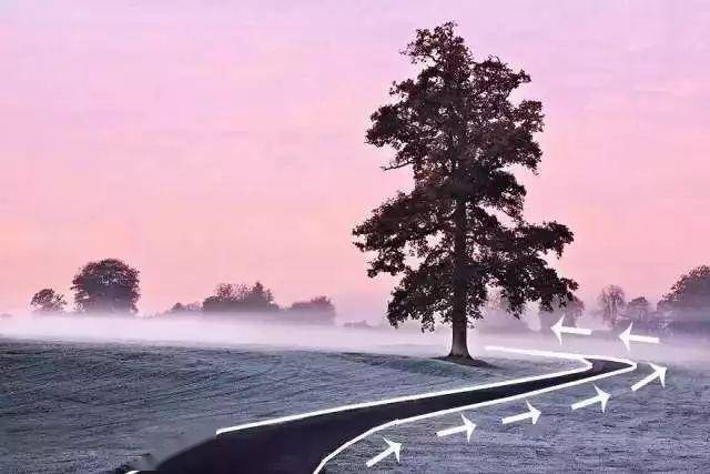 【美行摄影】今天我们就由浅入深，融会贯通细数20种实用构图吧。