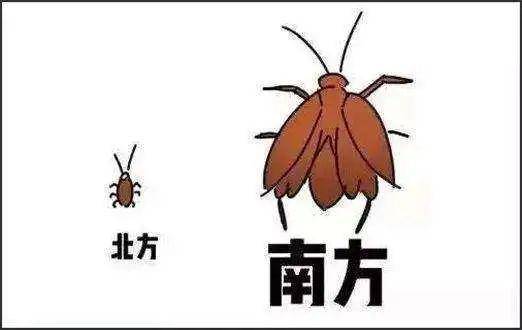 你所不知道的南北差异