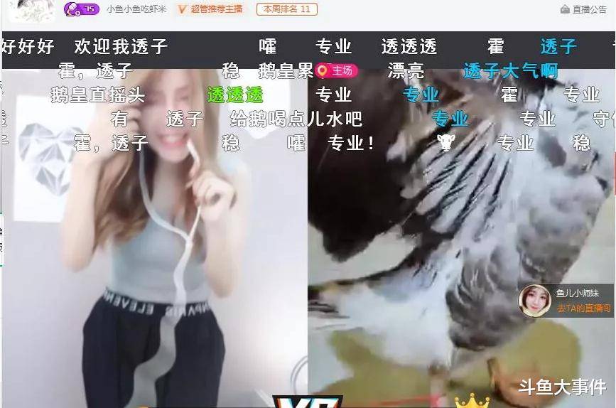 03d9c496f12944ad89179ff30230f343.jpeg