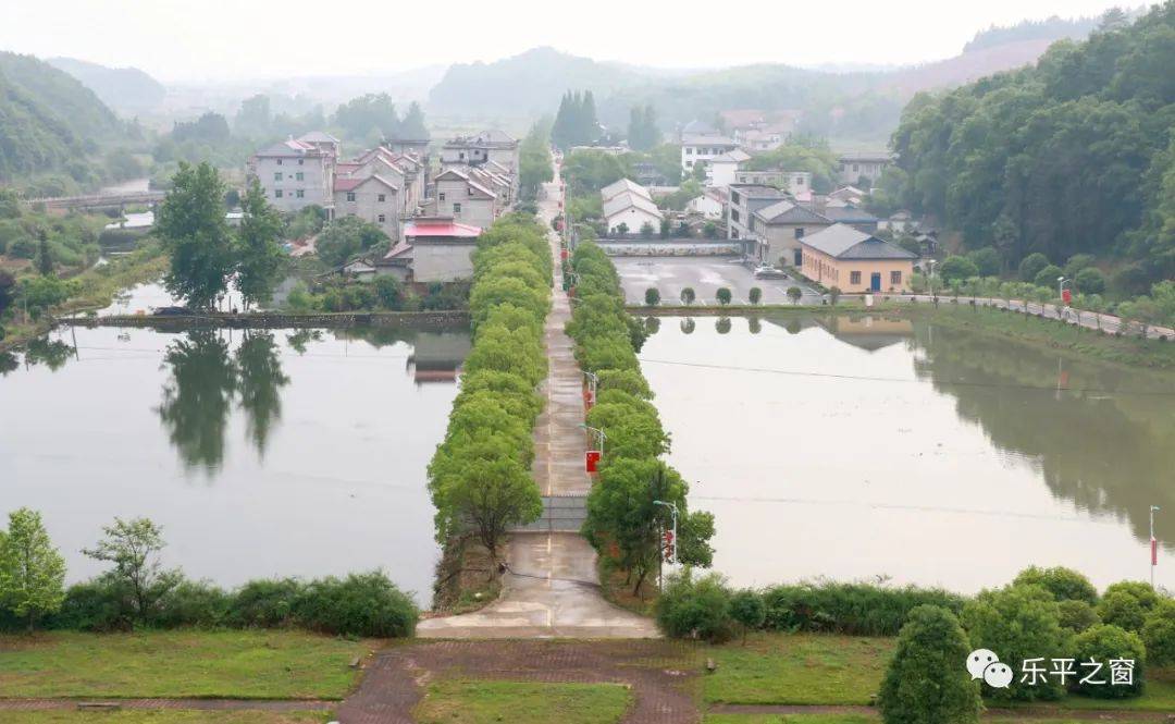 车子沿着干净的水泥路继续行驶,路边整齐路灯和红色灯箱,像列队欢迎