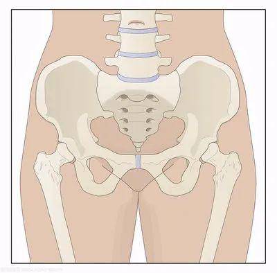 怎么看骨盆大小 30a703938bdd4a7da317c0486953e17b.jpeg