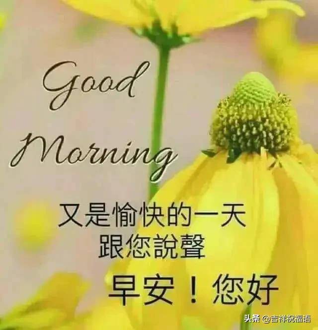cfbc3fc07a2d4313bb48c7929e9b69a5.jpeg