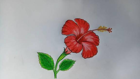 简笔画植物绘画大全画一朵鲜艳美丽的喇叭花!