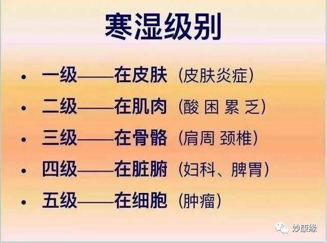 人体的寒湿分哪五个等级?_湿气