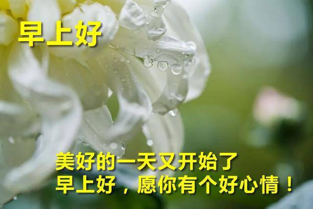5d184c5f1af1493fa85598a9e01e517e.jpeg