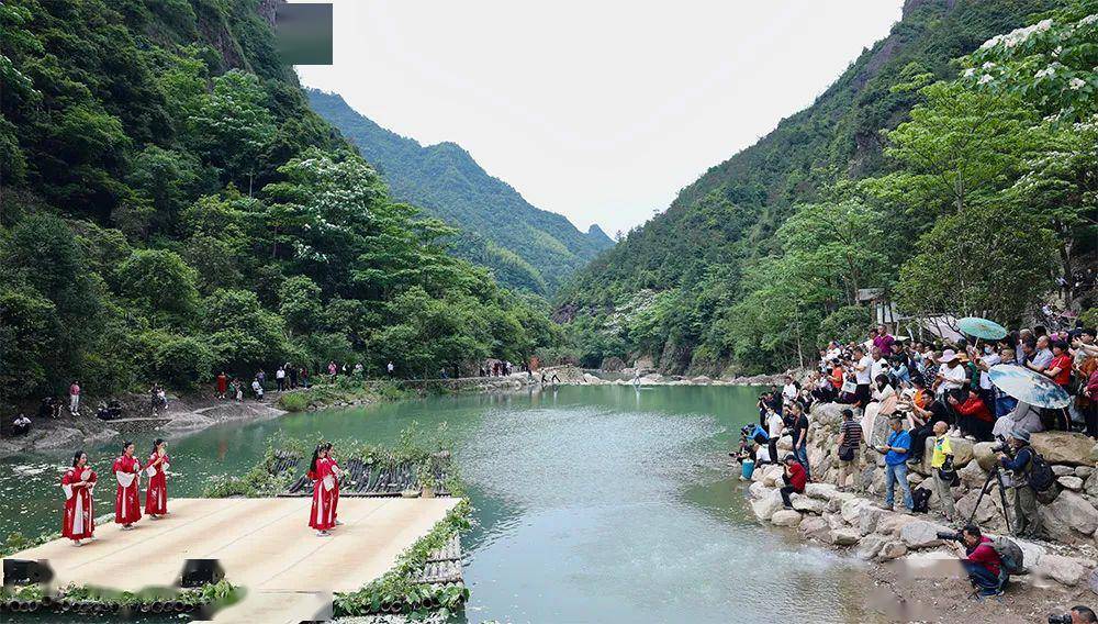 灵运仙境,五月桐花开 ——楠溪江首届桐花节举行 (现场美图看过来)