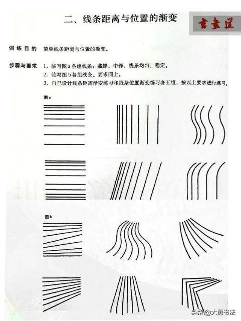 要想入门书法必须掌握这八点基本功深入了解线条对书法的影响