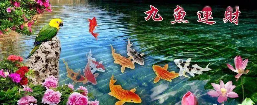 早上好,今天是5月第二个长久日,长长久久的祝福送给我