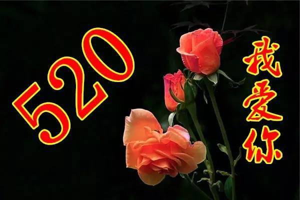 520最美的祝福送给你!