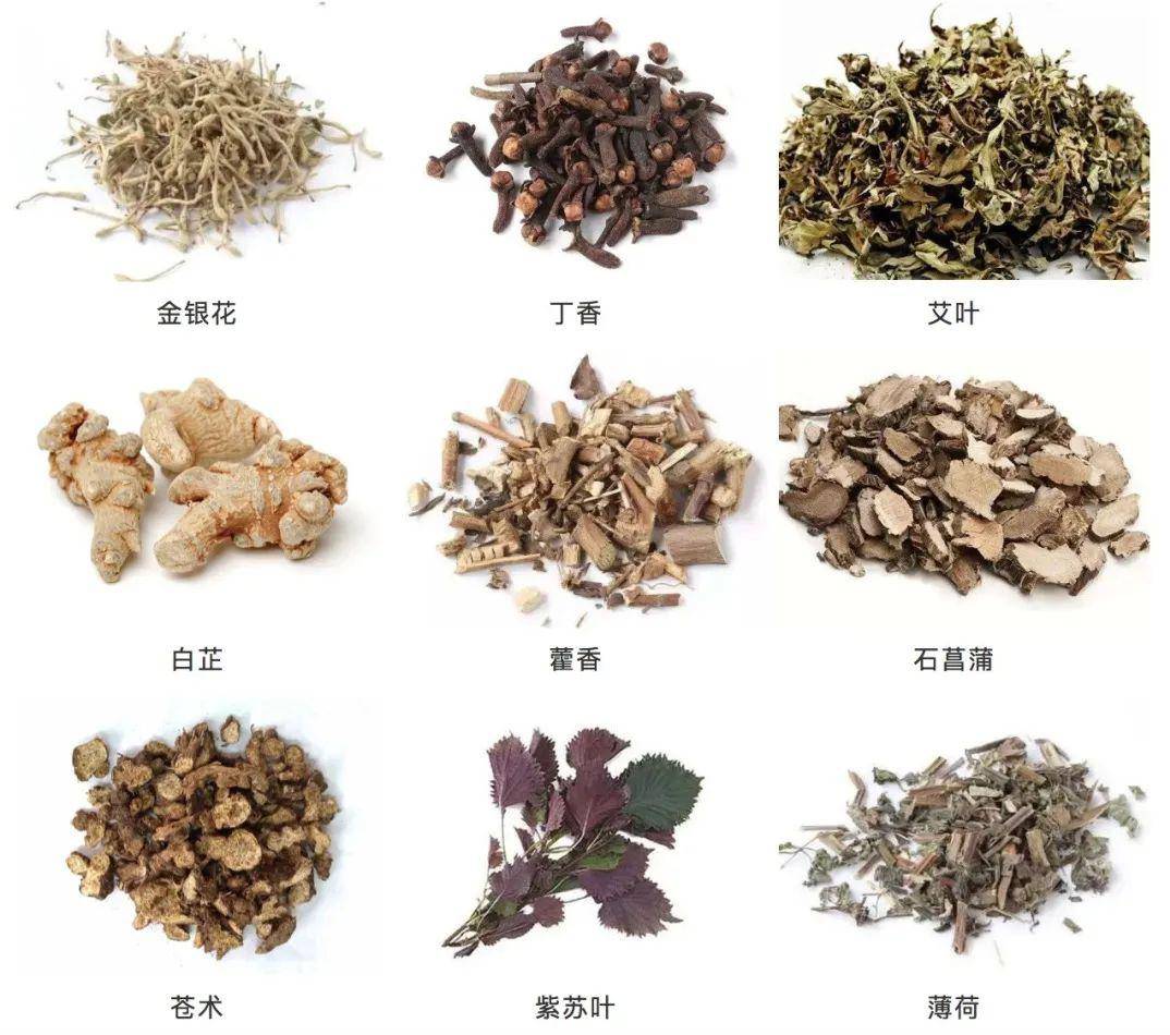 『雨水』闷热感加重，小孩防蚊可以这样做···21时49分小满！未来雨水增多