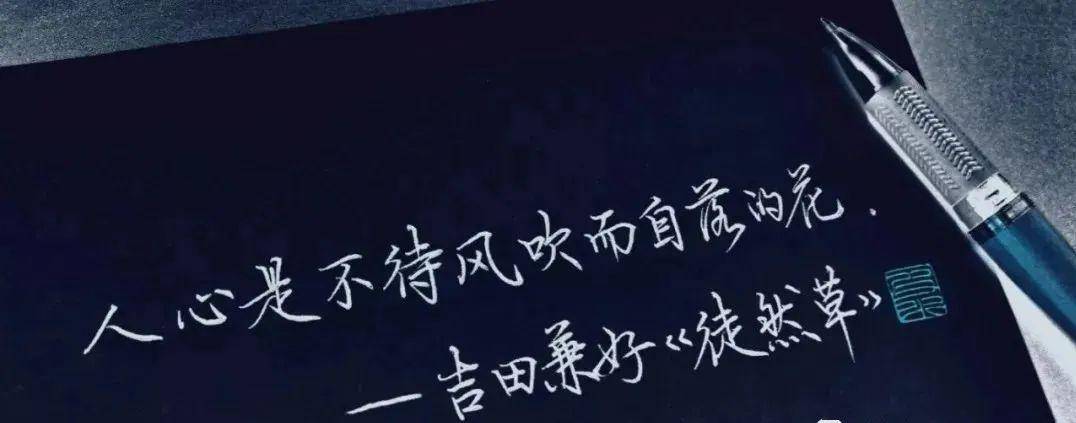 硬笔书法作品欣赏:心灵鸡汤美文
