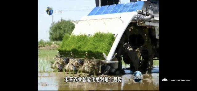 天津市王稳庄镇GDP_天津市西青区王稳庄镇