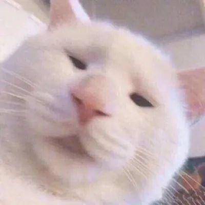 嘬手指表情包 33f30c5198e74a1fb677ca557134a2a2.jpeg