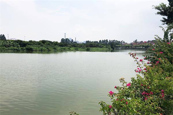 受疫情影响 2020年湖_2020年防控疫情手抄报(3)