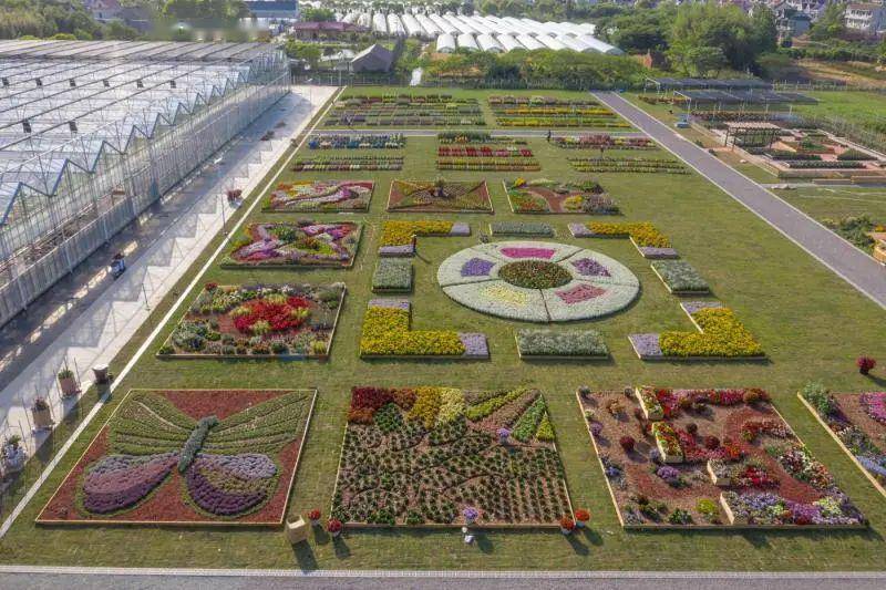 "迎花博 展花梦"——2020上海崇明国际新优花卉展在源