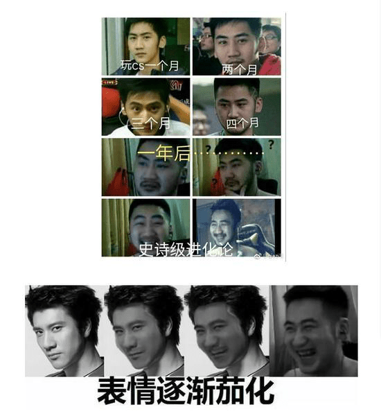 csgo茄子,愿你走出半生,归来仍是少年