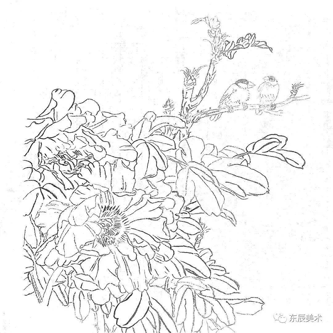 0a053d8becf34b1d876d619088d62b91.jpeg