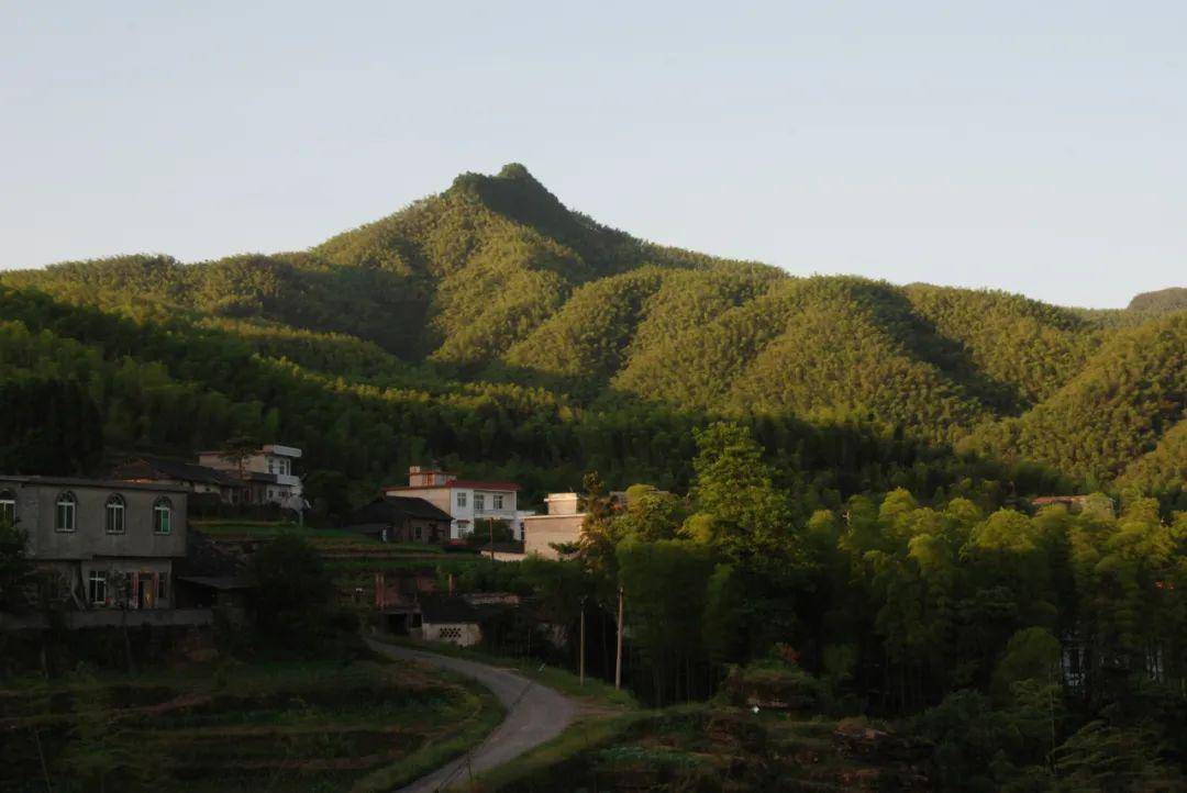 僰王山镇博望村屏山县大乘镇双峰村长宁县双河镇金鸡村江安县夕佳山镇