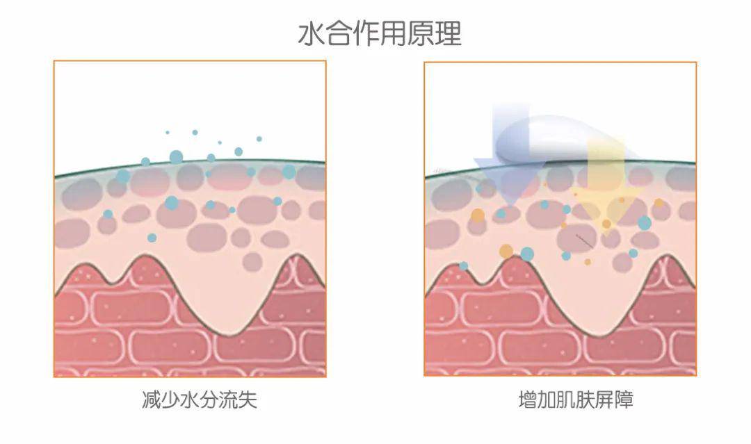 说到修复和增强水合作用,这还要靠 尿素这个成分啦