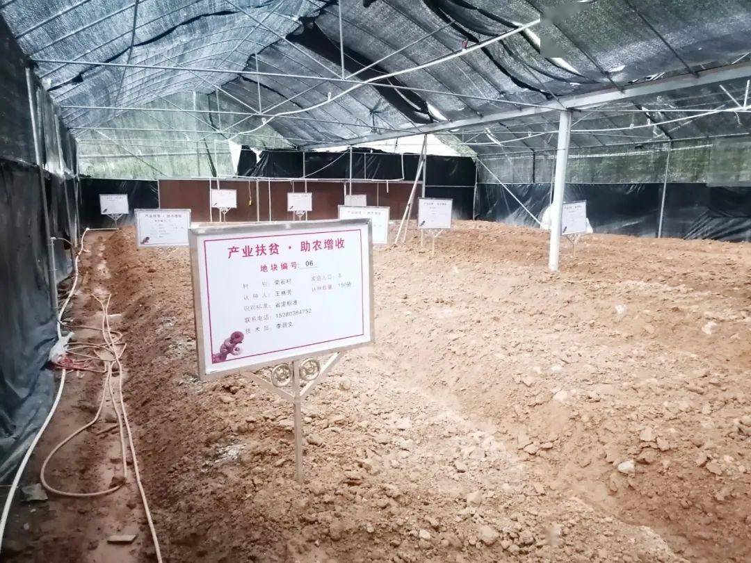 上杭gdp_上杭张庆林(3)