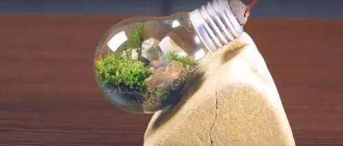 「植物」让种植成为孩子探索自然的起点！【植物角】60种植物角新玩法