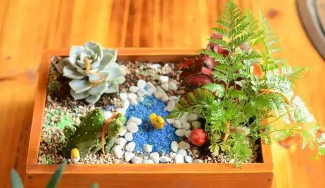 「植物」让种植成为孩子探索自然的起点！【植物角】60种植物角新玩法