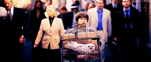 的人听吧短暂的告别后我们终将在时光深处相遇