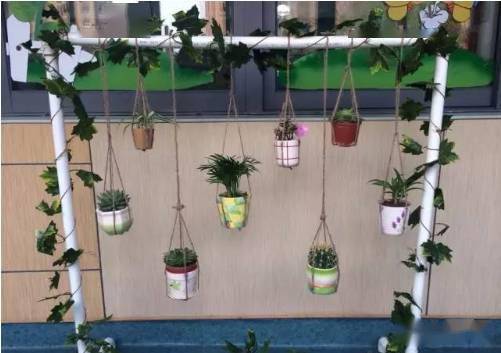 「植物」让种植成为孩子探索自然的起点！【植物角】60种植物角新玩法