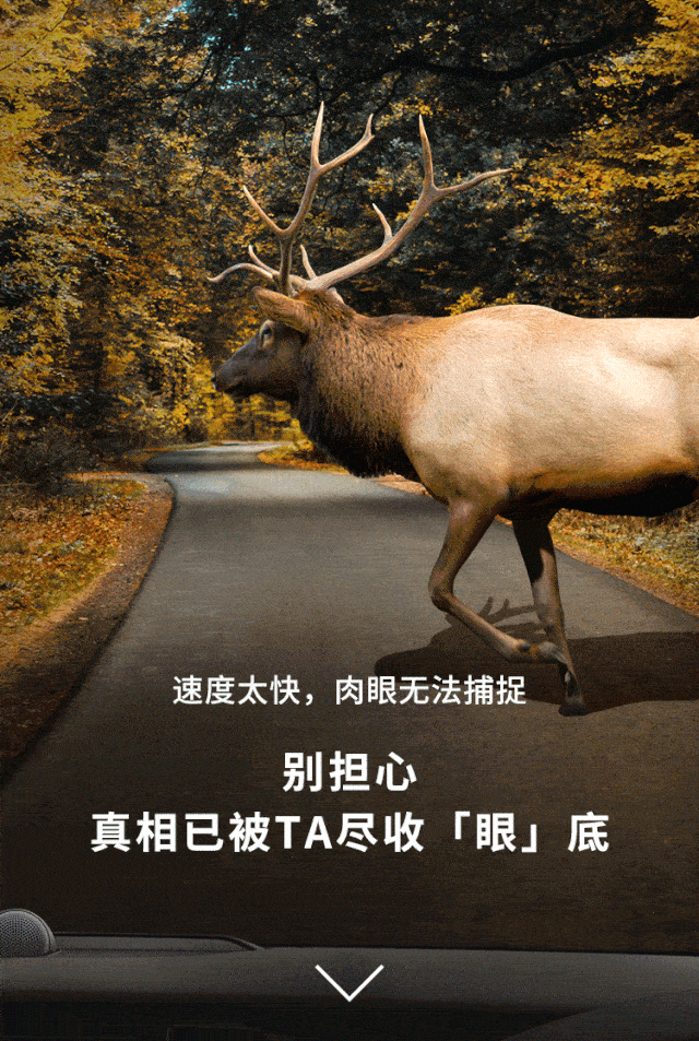 640_953 竖版 竖屏